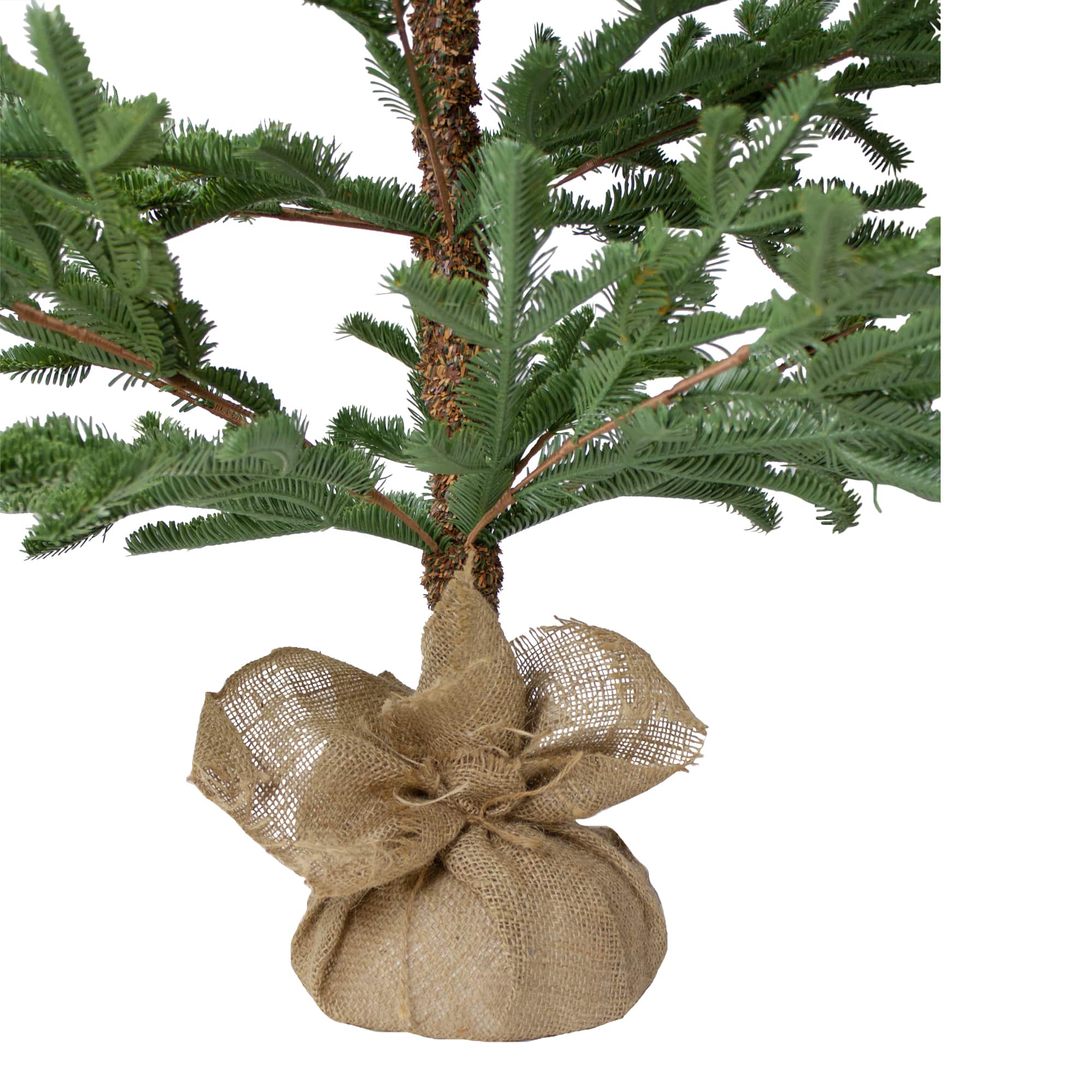 5ft. Unlit Ponderosa Pine Artificial Christmas Tree in Jute Base